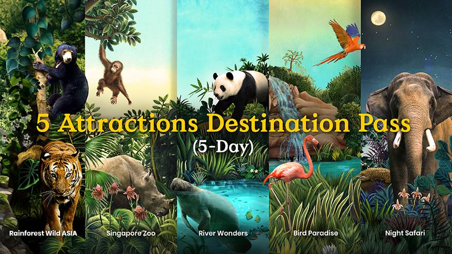 5 Attractions Destination Pass (5-Day Validity)