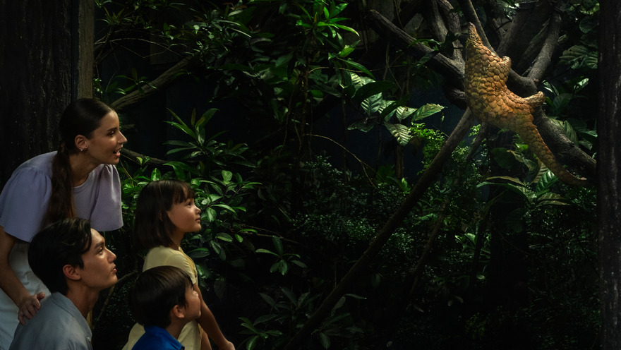 Night Safari Admission