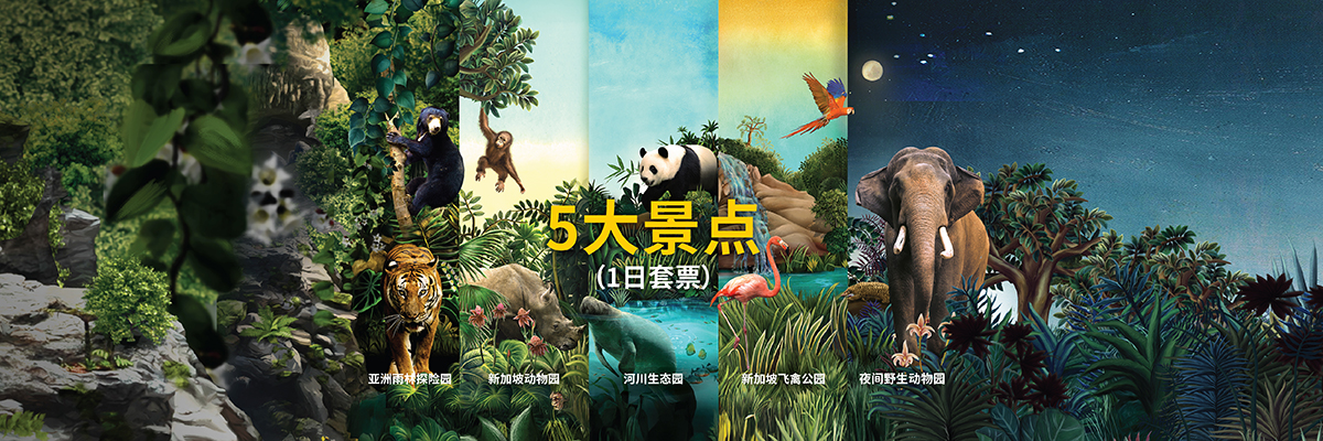 5大景点（1日套票）