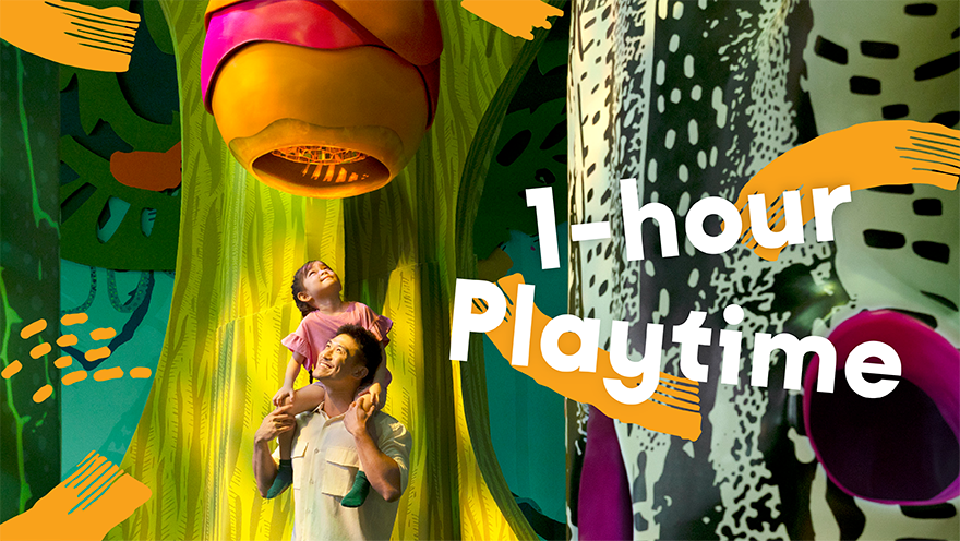 Curiosity Cove Admission (1-hour Playtime)