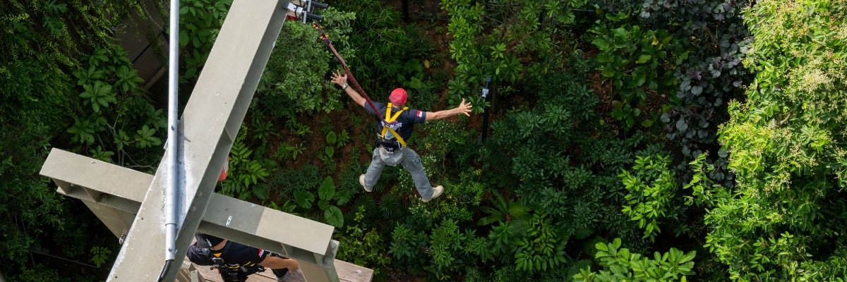Canopy Jump