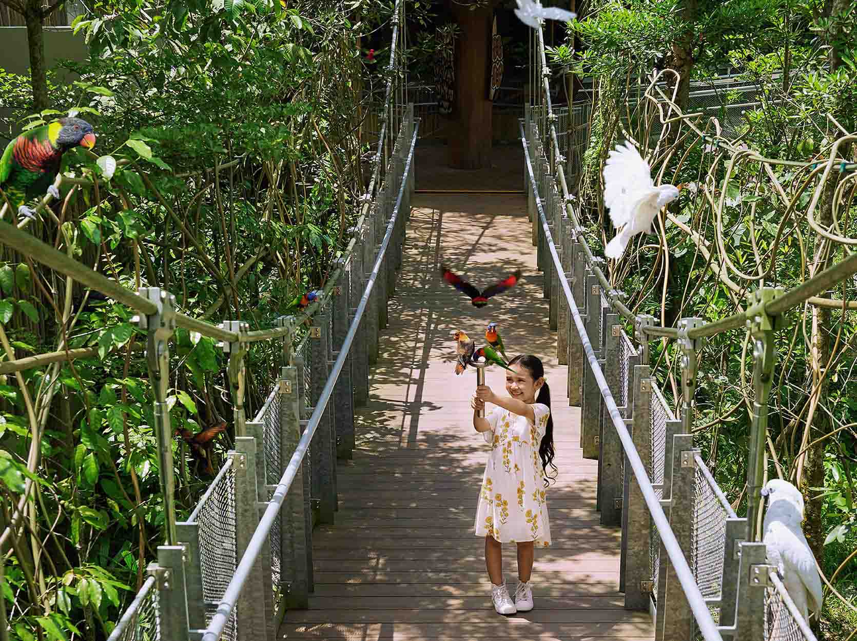 Lories and Lorikeets Feeding at Lory Loft