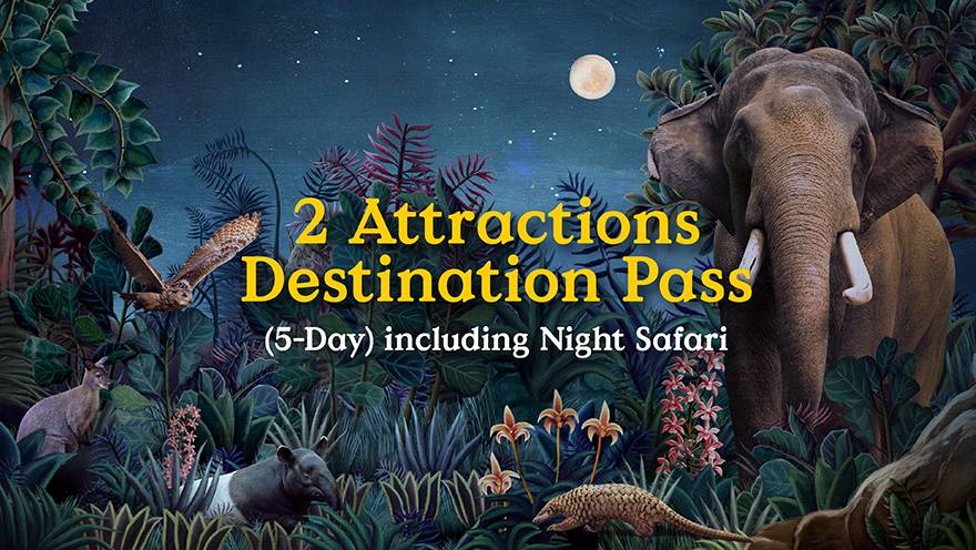 2 Attractions Destination Pass (5-Day Validity) - Night Safari Combo​
