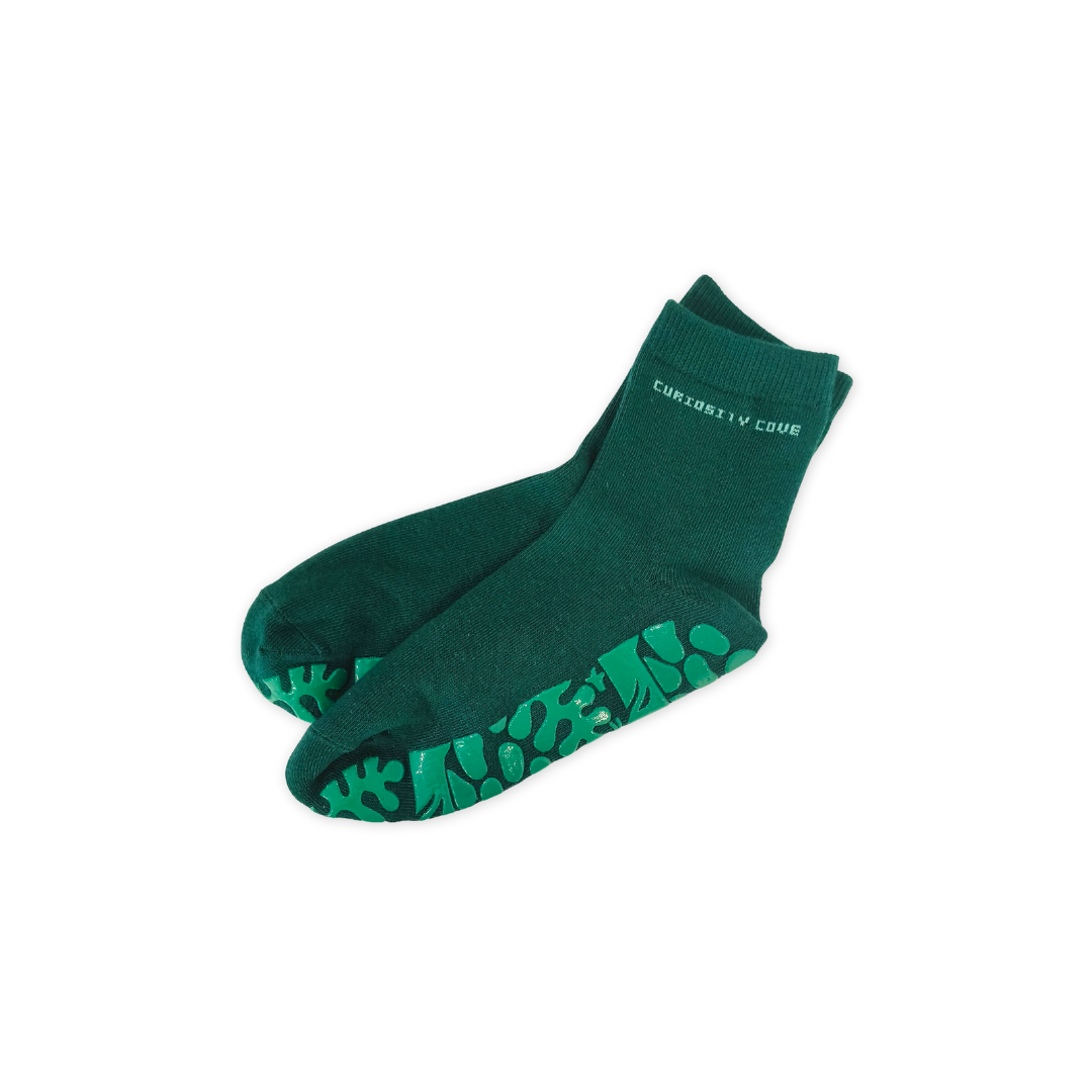 Curiosity Cove Grip Socks