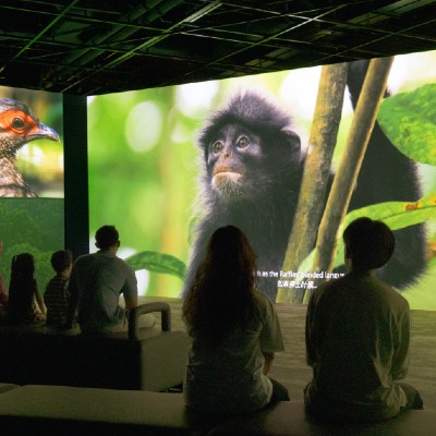 Mandai Gallery