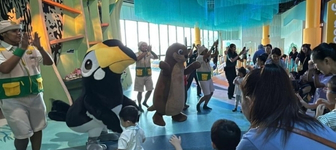 Curiosity Cove Dance