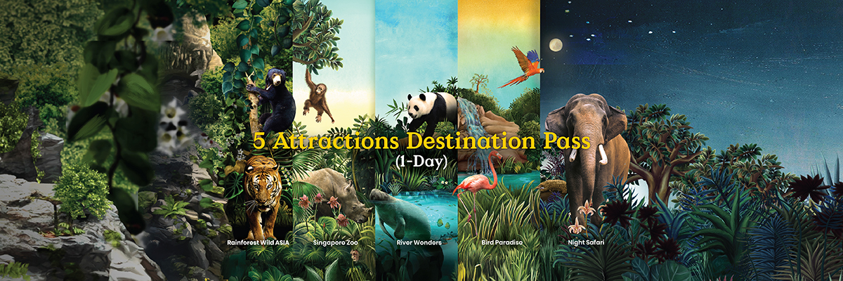 5 Attractions Destination Pass (1-Day Validity)