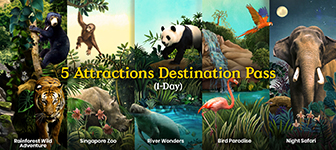 5 Attractions Destination Pass (1-Day Validity)