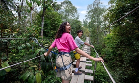 Treetop Traverse