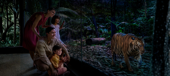 Safari Walking Trails
