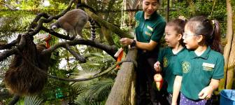 Zookeeper For A Day
