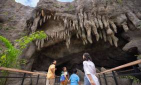 Rainforest Wild ASIA Admission