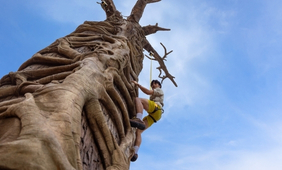 Primate Climb