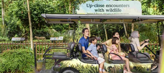 Zoo Adventure Tour