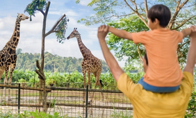 Singapore Zoo Admission