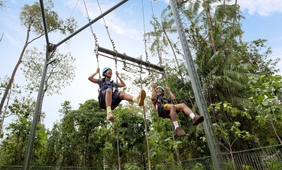 Ravine Swing
