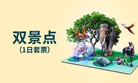 双景点（1日套票）