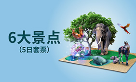 6大景点​（5日套票）