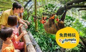 新加坡动物园门票 + Zoolympix