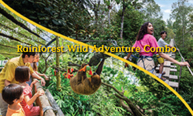 Local Exclusive: 2 Attraction Pass - Rainforest Wild Adventure Combo