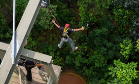 Canopy Jump