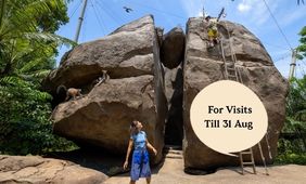 Rainforest Wild Adventure Admission