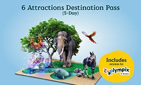 6 Attractions Destination Pass ​(5-Day) + Zoolympix