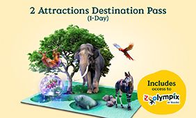 2 Attractions Destination Pass ​(1-Day) + Zoolympix