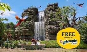Bird Paradise Admission + Zoolympix
