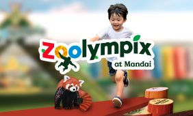 Zoolympix: Stars of Mandai Festive Challenge