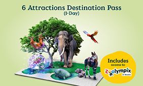 6 Attractions Destination Pass ​(1-Day) + Zoolympix