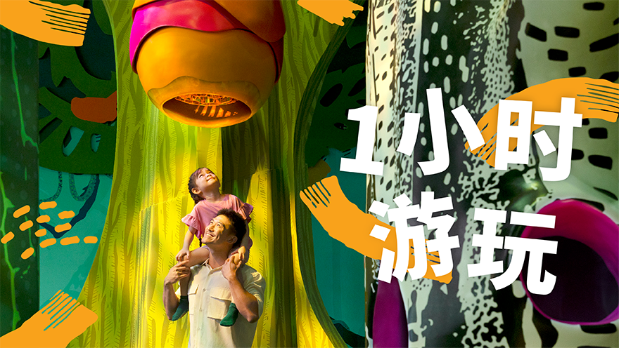 好奇心之湾门票（1小时游玩）