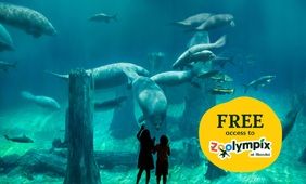 River Wonders Admission + Zoolympix