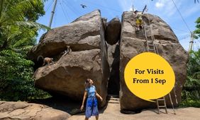 Rainforest Wild Adventure Admission
