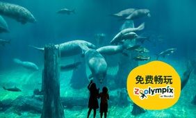 河川生态园门票 + Zoolympix