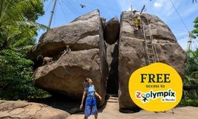 Rainforest Wild Adventure Admission + Zoolympix
