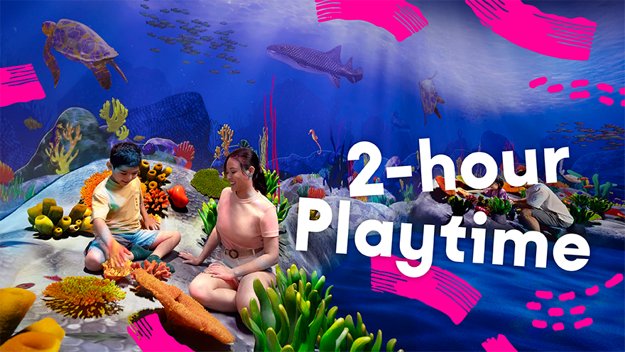 Curiosity Cove Admission (2-hour Playtime)