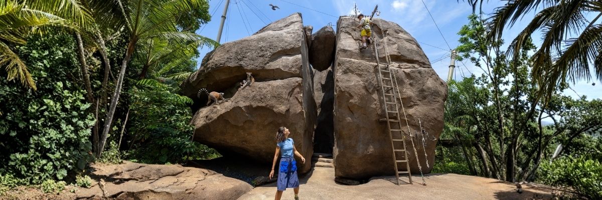 Rainforest Wild Adventure Admission