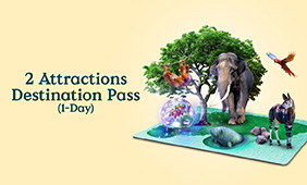 2 Attractions Destination Pass ​(1-Day)