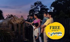 Night Safari Admission + Zoolympix