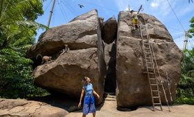 Rainforest Wild Adventure Admission