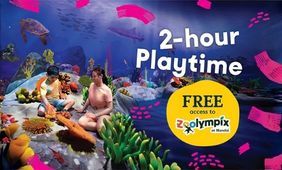 Curiosity Cove Admission (2-hour Playtime) + Zoolympix