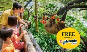 Singapore Zoo Admission + Zoolympix