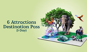 6 Attractions Destination Pass ​(1-Day)